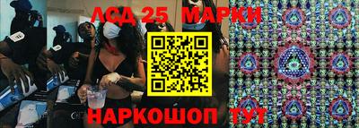 индика Лесосибирск