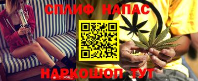 индика Лесосибирск
