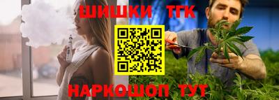 индика Лесосибирск