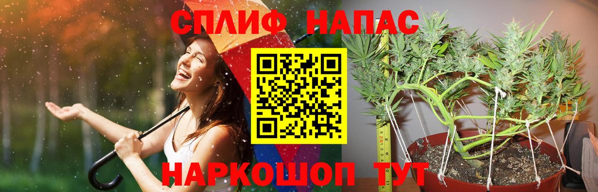 Бошки Шишки AK-47  Канабис THC 21%  Вход с VPN  Бошки марихуана Amnesia  Урай 